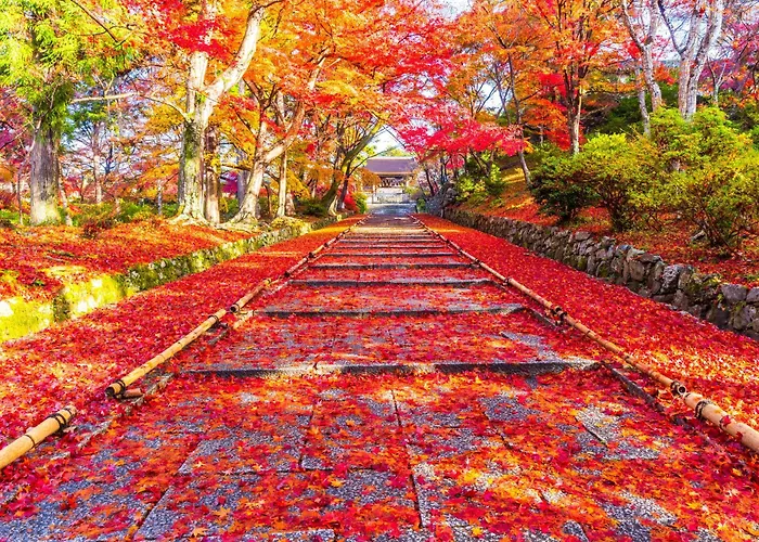 Eph Kyoto